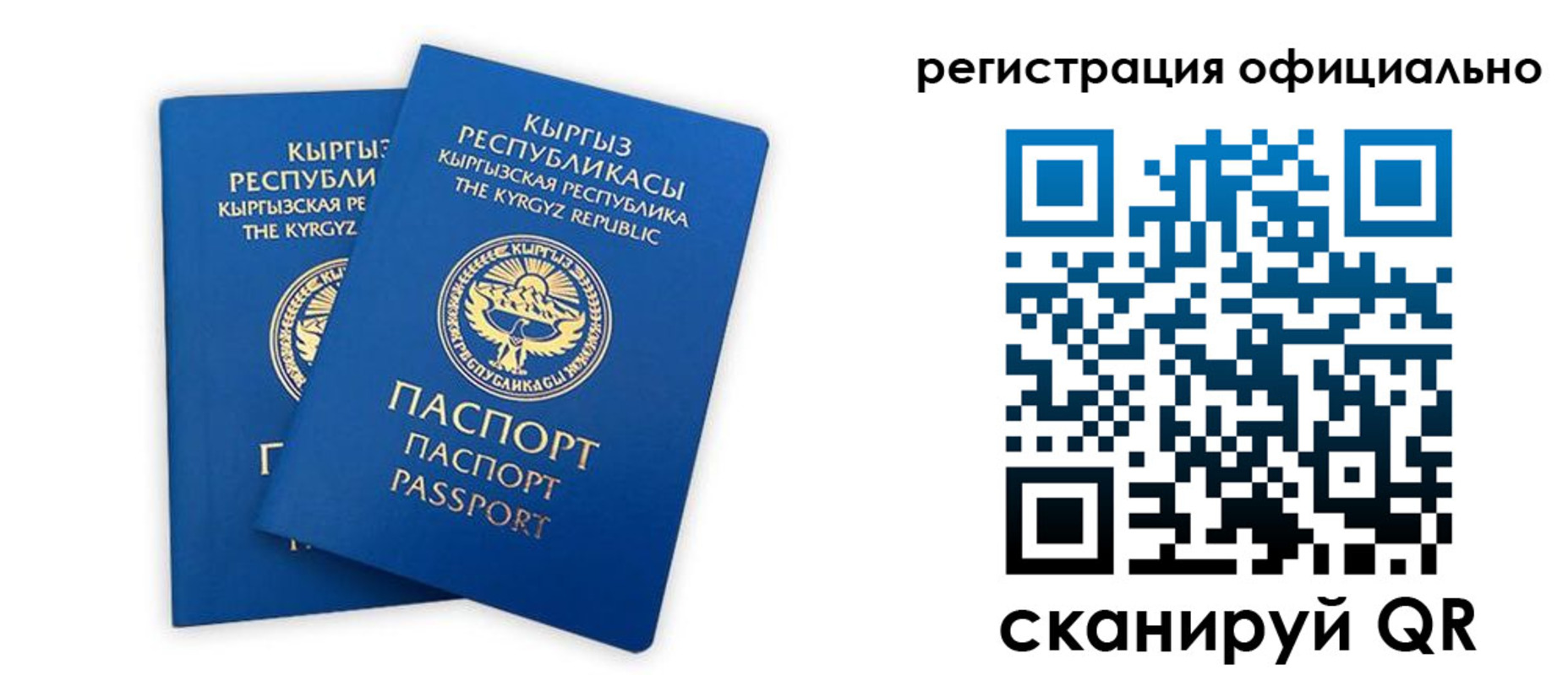 прописка поиск в Шумерле